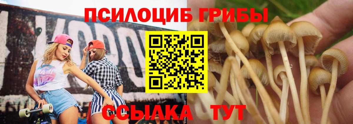 Галлюциногенные грибы GOLDEN TEACHER  Вход с VPN  Советск 